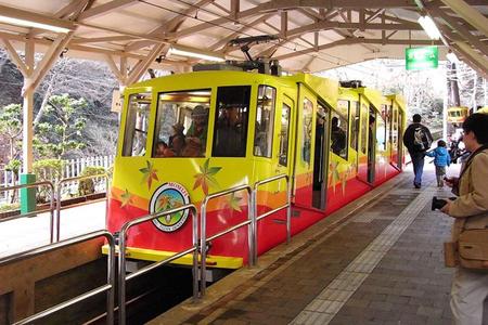 
                                                                                                【趣東京走走】高尾山、表參道之丘、深大寺、明治神宮、燒烤放題、輕旅5日
                                                                                                