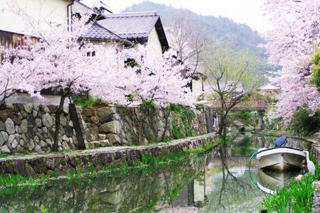 
                                                                                                【櫻色暢玩京阪神奈】琵琶湖．甜點小屋．八幡堀遊船．átoa水族館5日
                                                                                                