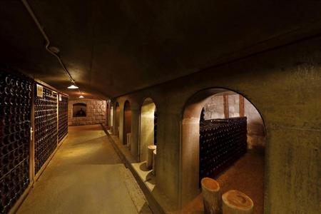 
                                                                                                【日本微醺之旅系列】把北九州喝成一首詩｜酒香溫泉藝術・療癒慢飲 5 日
                                                                                                