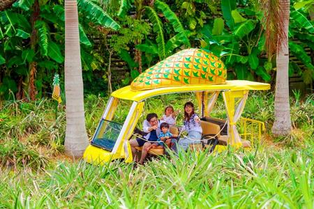 
                                                                                                台中出發【FUN暑假】海中展望塔、鳳梨園、海灘BBQ、二晚海濱飯店四日
                                                                                                