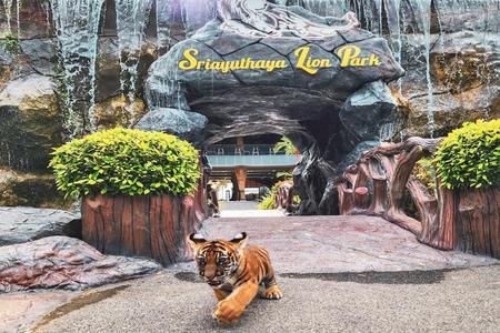 
                                                                                                【閃耀曼芭】龍蝦吃到飽、四方水上市場、洽途洽周末市集、爽泰莊園6日
                                                                                                