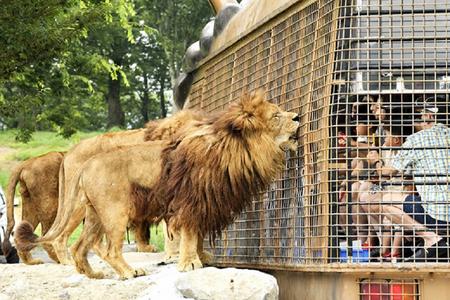 
                                                                                                【樂遊九州】豪斯登堡．野生動物園．童書之森．萌熊電車．柳川遊船５日
                                                                                                