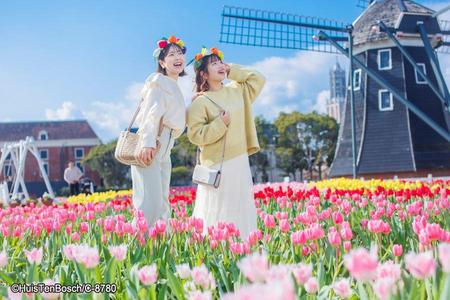 
                                                                                                【樂遊北九州】豪斯登堡．野生動物園．童書之森．南阿蘇鐵道列車６日
                                                                                                