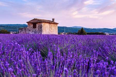
                                                                                                【南法花季】普羅旺斯薰衣草、葡萄酒鄉品酒、卡爾卡頌城堡、河谷遊船12日
                                                                                                
