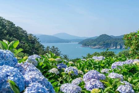 
                                                                                                【星宇航向釜山】波塔尼亞海上花園、斜坡滑車、海景天空艙、藍絲帶咖啡5日
                                                                                                