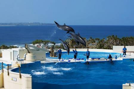 
                                                                                                【泰想玩沖繩】海洋博館、鳯梨恐龍園、兒童王國、銀河半潛艇、星野咖啡5日
                                                                                                