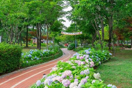 
                                                                                                釜山萬元搶購~絕美慶南、海濱列車、網美咖啡足浴體驗、晉州南江夜景4日
                                                                                                