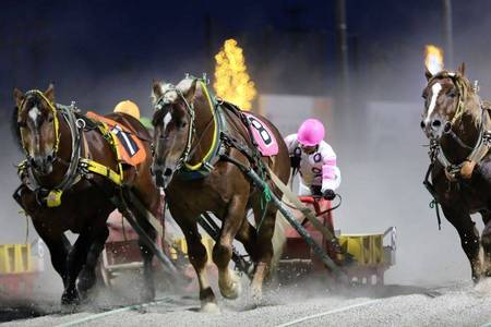 
                                                                                                【北海道邂逅賽馬】輓曳賽馬.小樽運河貢多啦.LeTAO下午茶6日
                                                                                                
