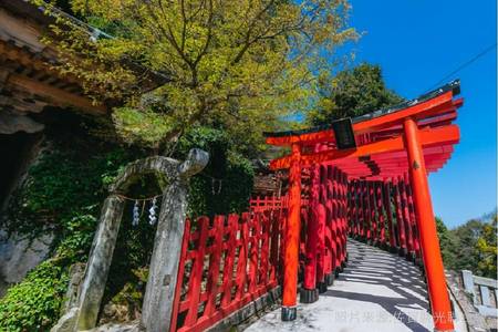
                                                                                                【精選神話九州】火山纜車、海中鳥居、招財神社、百選名湯、嚴選飯店六日
                                                                                                