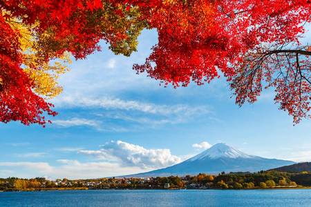 
                                                                                                【富士秋童話】音樂之森、紅葉廊、新倉山、御殿場、昭和銀杏、螃蟹溫泉6日
                                                                                                