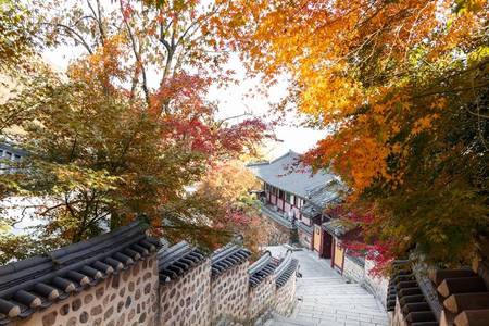 
                                                                                                【楓戀釜慶】五星樂天、豪華遊艇、梵魚寺賞楓、傳統年糕體驗、長腳蟹5日
                                                                                                