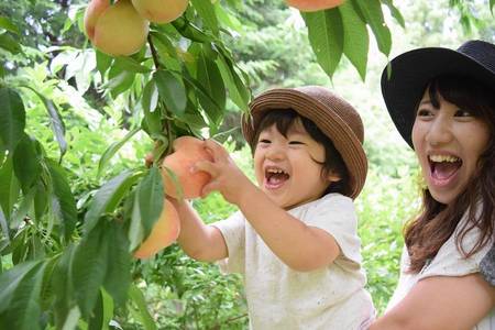 
                                                                                                【夏意初心】和歌山水蜜桃吃到飽京都天橋立伊根灣勝尾寺大阪散策5日
                                                                                                
