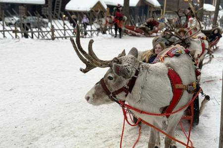 
                                                                                                【精選北歐】馴鹿雪橇、破冰船、冰雪世界、極地特快車、雙飛共舞極光11日
                                                                                                