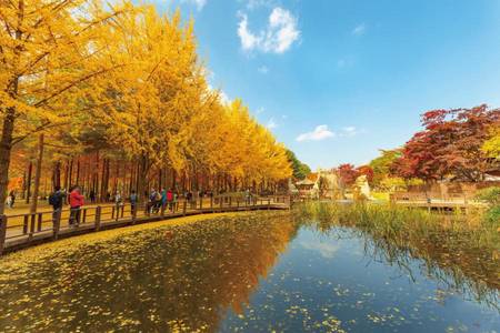 
                                                                                                【金秋時節】南怡島銀杏、雞龍山賞楓、景福宮韓服、植物園咖啡廳5日
                                                                                                