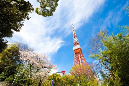 
                                                                                                【東京揪起來】富岳風穴、新倉山、鐵塔、御殿場、吃螃蟹、溫泉、輕旅5日
                                                                                                