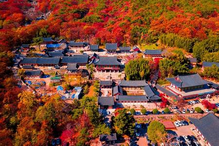 
                                                                                                【楓迷釜慶】梵魚寺楓葉、金剛纜車、校村韓服、慶州古老石橋、汗蒸幕5日
                                                                                                