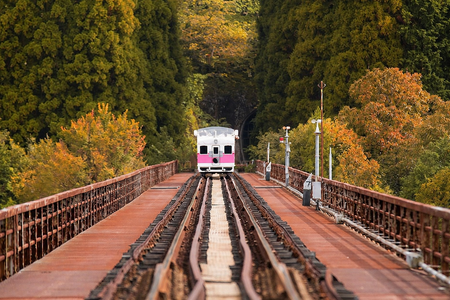 
                                                                                                精選九州5日｜雙城秋色・金色草千里・高千穗峽谷鐵道・白野江紅葉秘境
                                                                                                