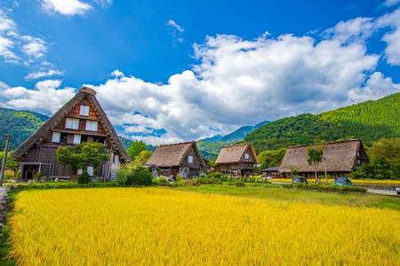 
                                                                                                【立山森秋楓】上高地、庄川峽、兼六園、合掌村、松本城、花月堂、溫泉6日
                                                                                                