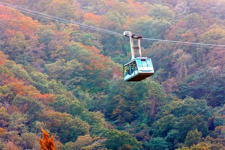
                                                                                                【楓遊雪嶽山】雪嶽山纜車、南怡島渡船、壽鳳公園天空步道、大關嶺牧場5日
                                                                                                