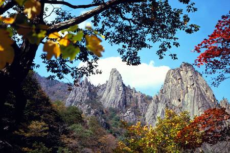 
                                                                                                【楓遊韓國】龍門山古老銀杏樹、神興寺、雪嶽山楓情、三岳山湖水纜車5日
                                                                                                