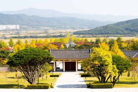 
                                                                                                【釜慶楓彩】兩晚四星飯店、阿爾卑斯冰谷纜車、慶州銀杏大道、九峰山林5日
                                                                                                