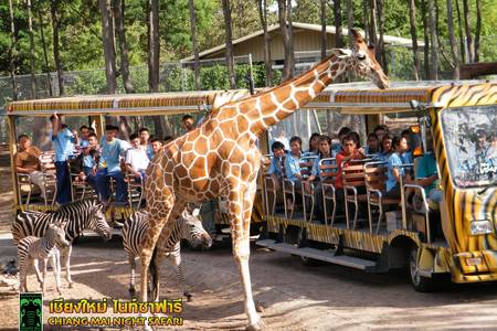
                                                                                                【星宇航空】夏戀富國島~驚奇夜間動物園.海鮮大團圓饗宴.跨海纜車5日
                                                                                                