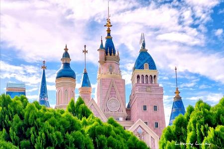 2024台南台灣燈會＆國際蘭展雙主題】學甲蜀葵花海、燕潭熱|旅遊行程