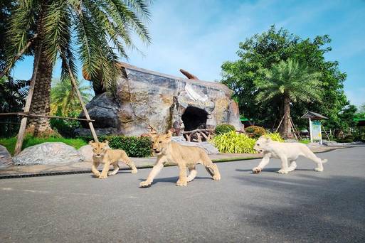 大城動物園Sriayuthaya Lion Park