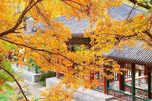 北京-秋景-頤和園