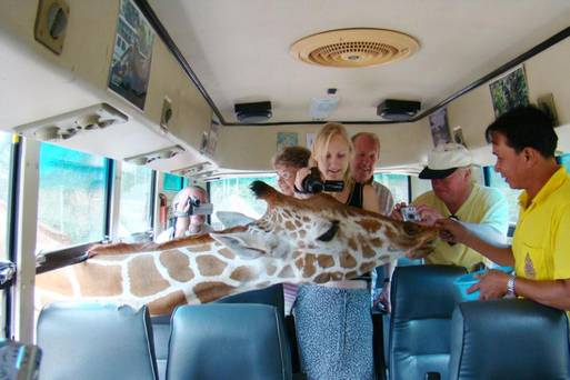 html 桂河Safari Park