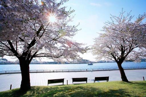 一山湖水公園