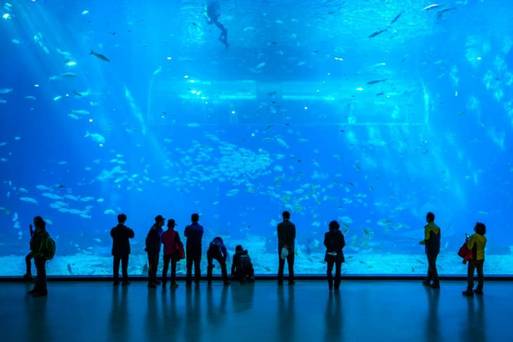 濟州水族館 AQUA PLANET 水上星球