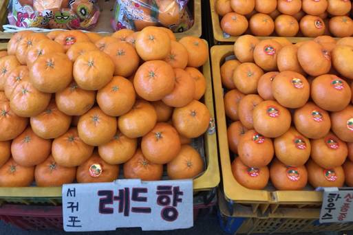 html 1070313-濟州東門市場