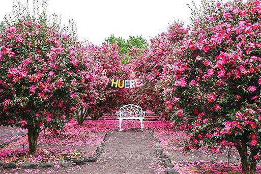 休愛里四季花園