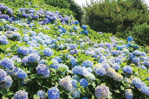 休愛里四季花園