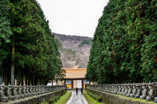 濟州觀音寺