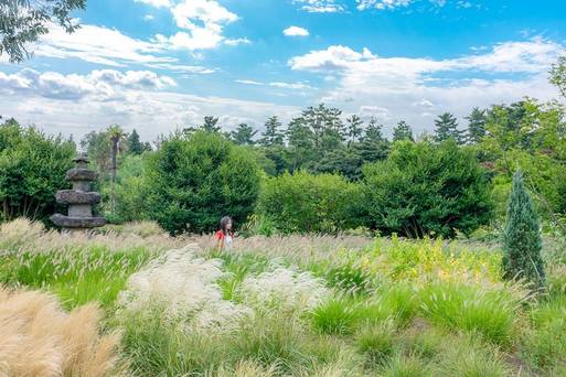 PLANT827花園+足浴