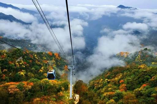 金佛山