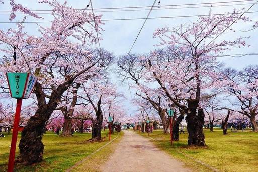 青葉丘公園