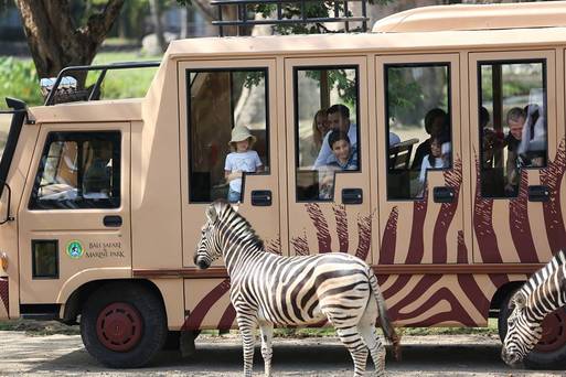 「Safari & Marine」野生動物園