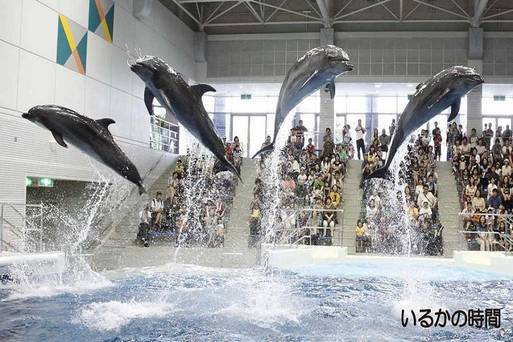 鹿兒島水族館