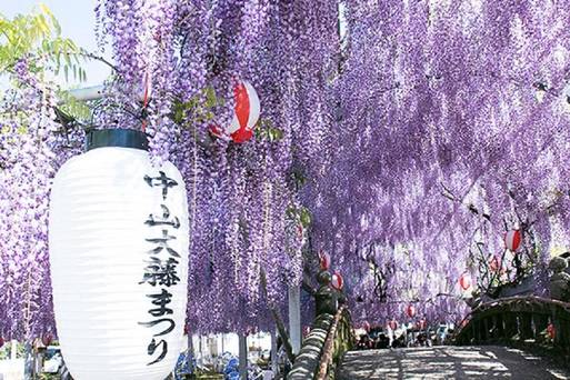 中山熊野神社