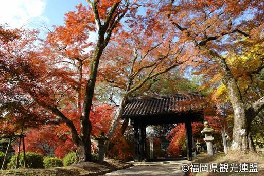 秋月城跡