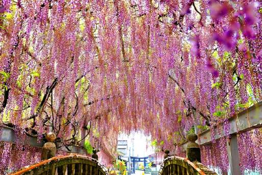 中山熊野神社