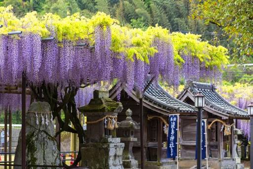 素盞鳴神社