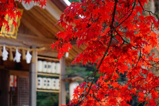 寶滿宮竈門神社