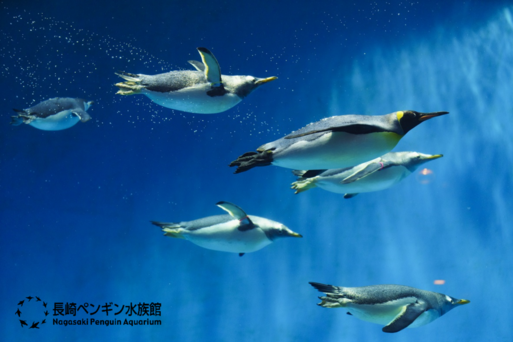 長崎企鵝館