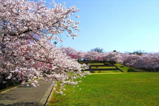 舞鶴公園
