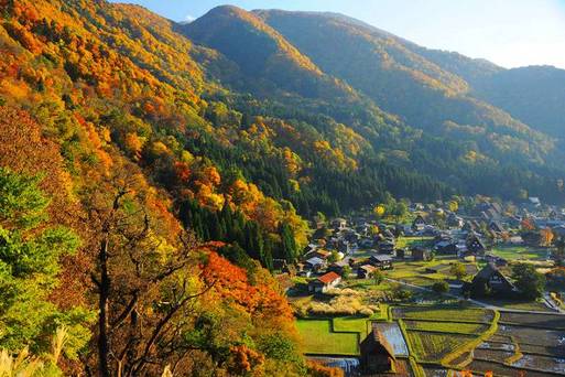 白川鄉合掌村 紅葉
