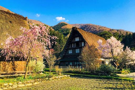 白川鄉合掌村-四季